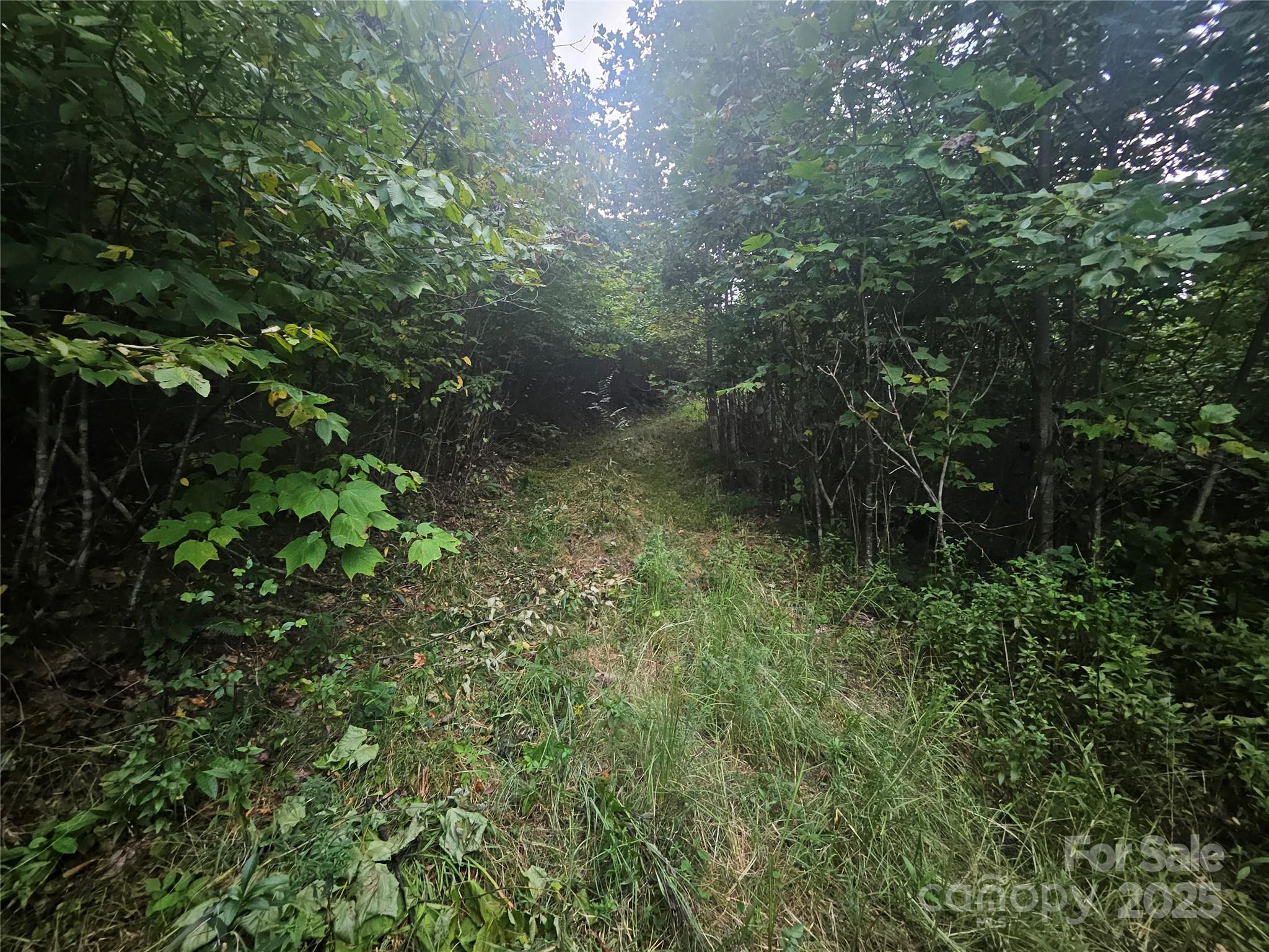 000 Double Island Road