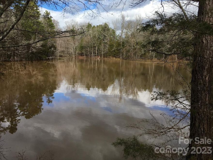 Looking for land with a pond? This tract has two. This 22.2 acre tract of land  is fairly level and all usable. Build your home overlooking the ponds and enjoy nature at it finest. Per the seller, the pond is spring fed. Once the first pond gets full, the spillway feeds into the 2nd pond.