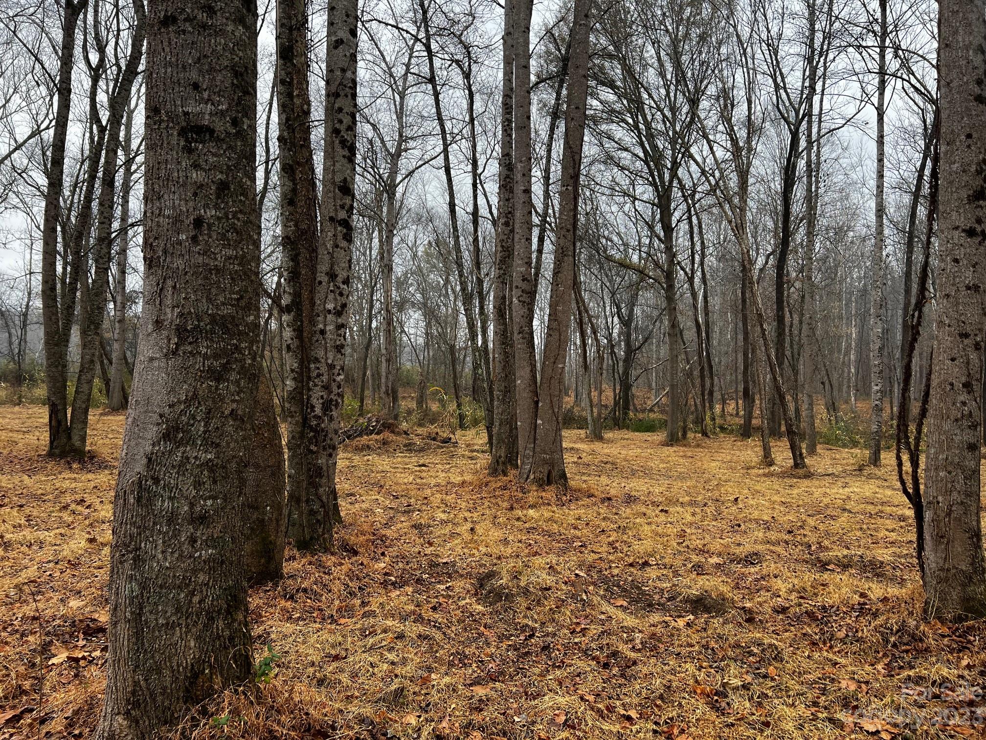 River Rock Shores - Land