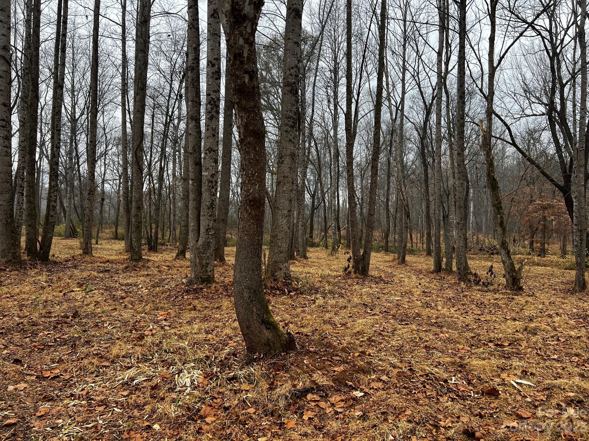 River Rock Shores - Land