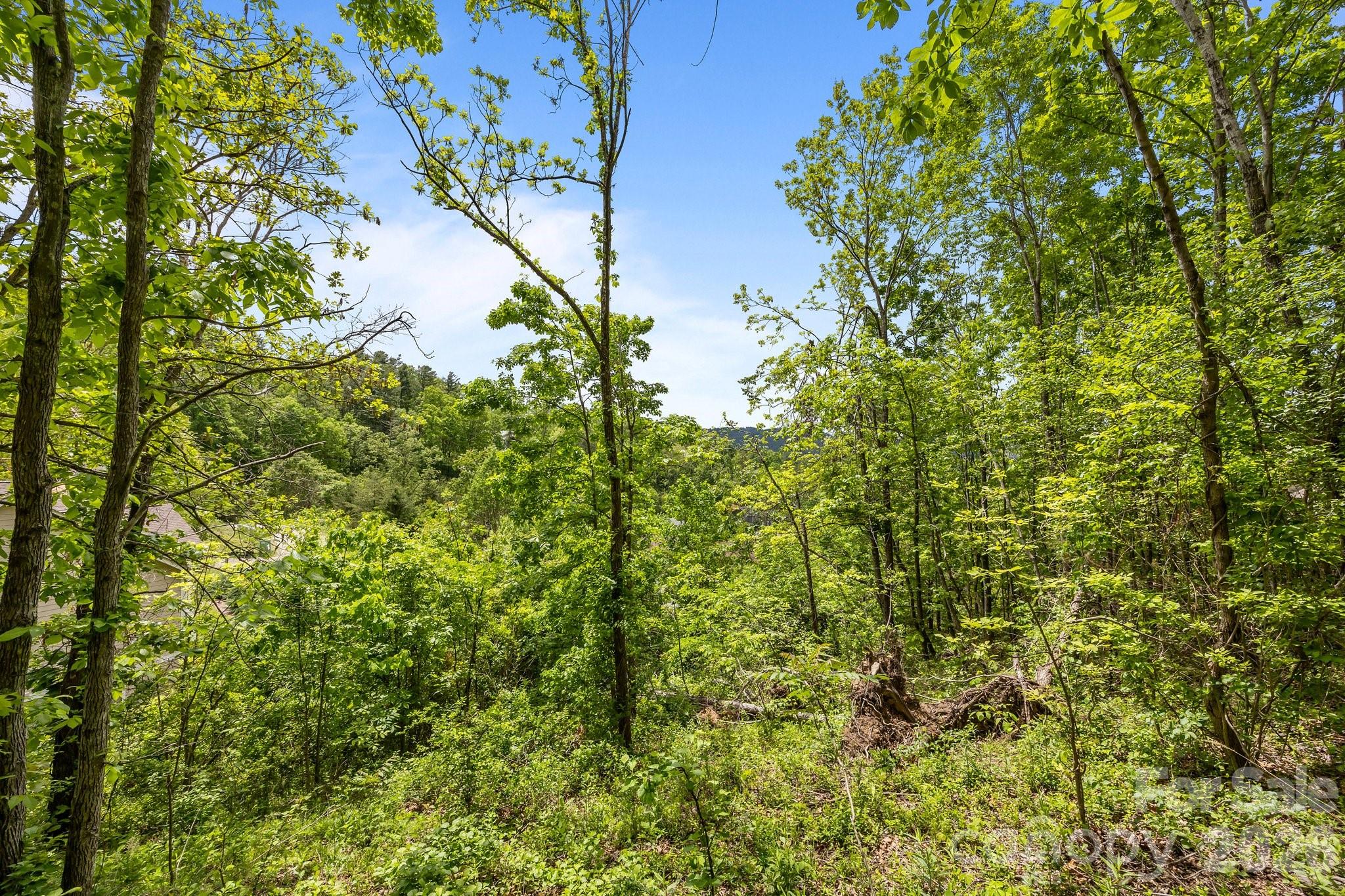 Reems Creek Golf Community - Land