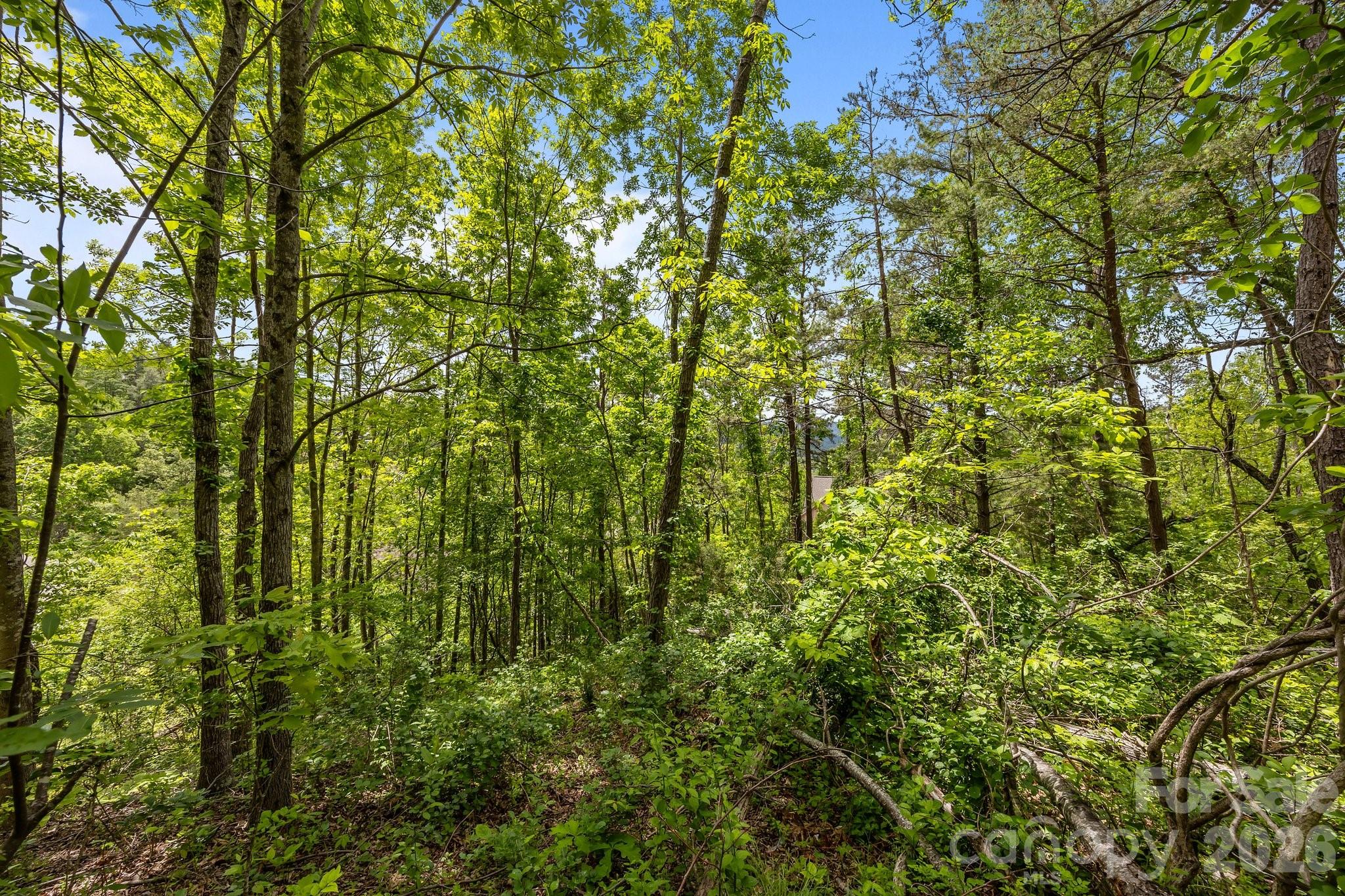 Reems Creek Golf Community - Land