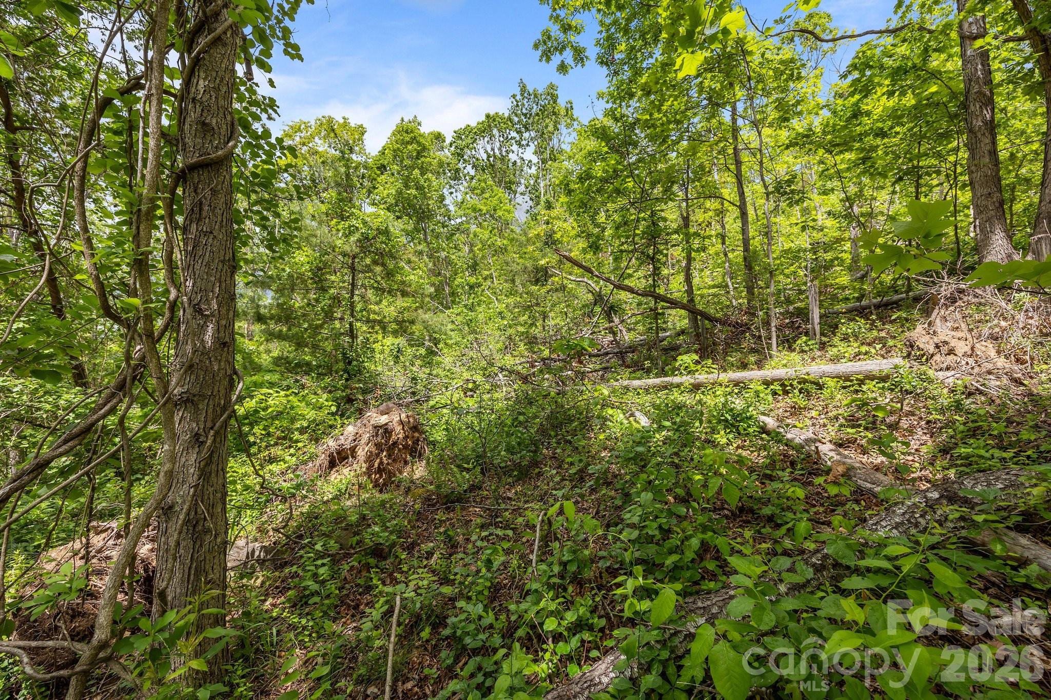 Reems Creek Golf Community - Land