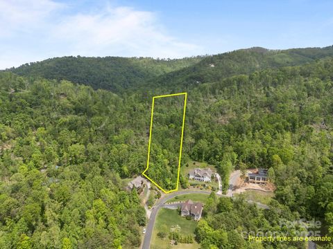 46 Hawtree Court 255 Weaverville NC 28787