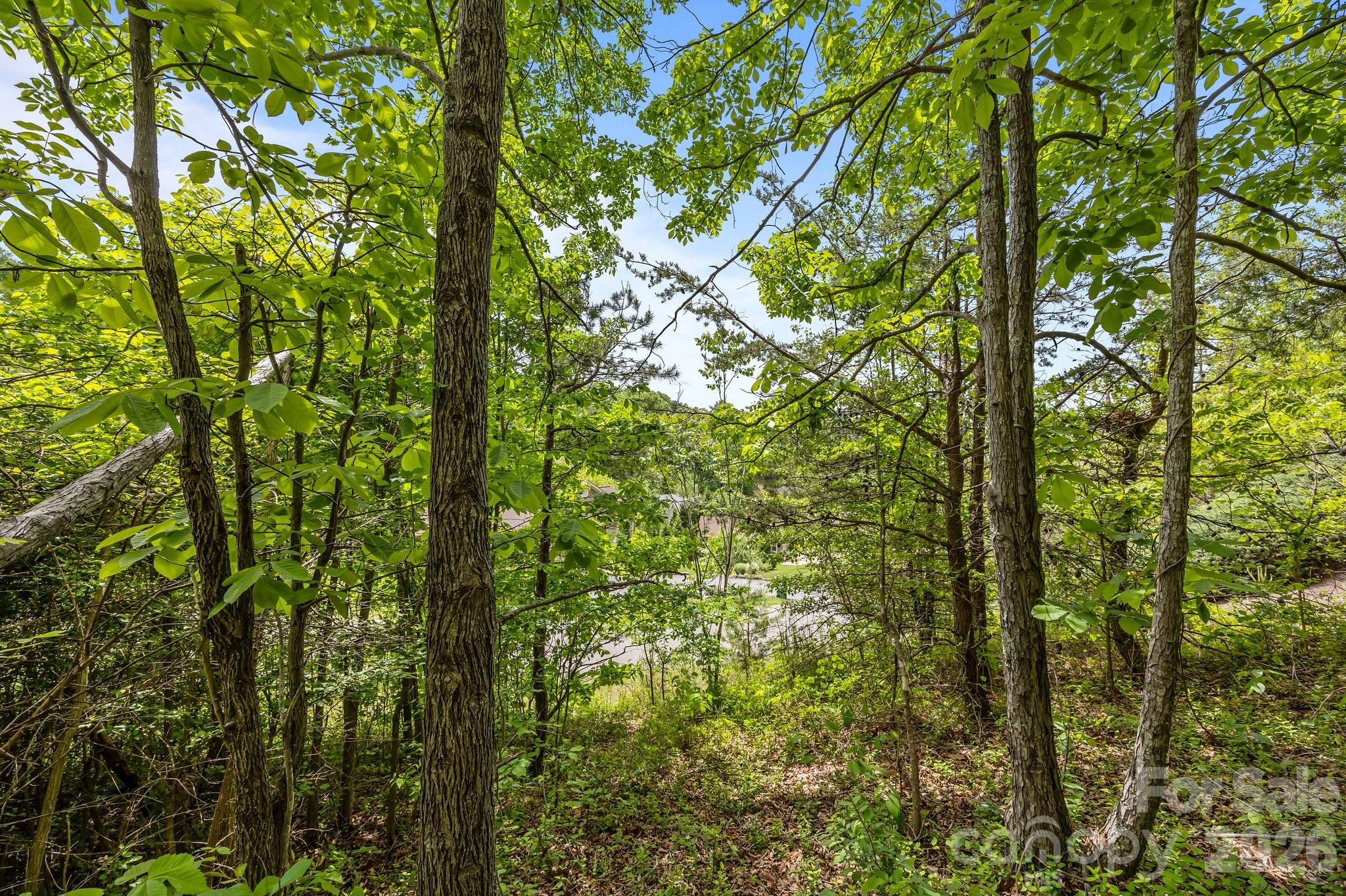 Reems Creek Golf Community - Land