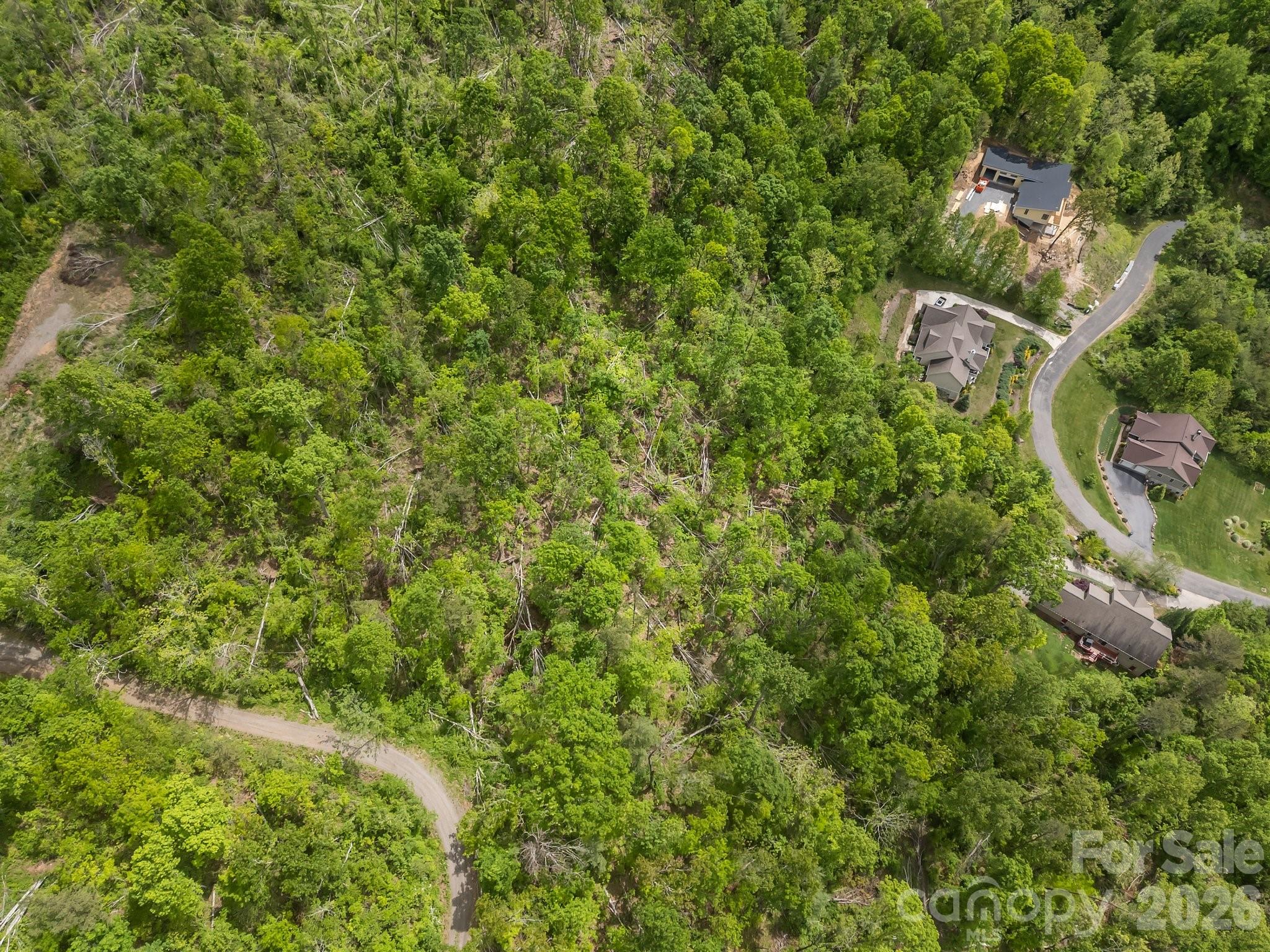 Reems Creek Golf Community - Land