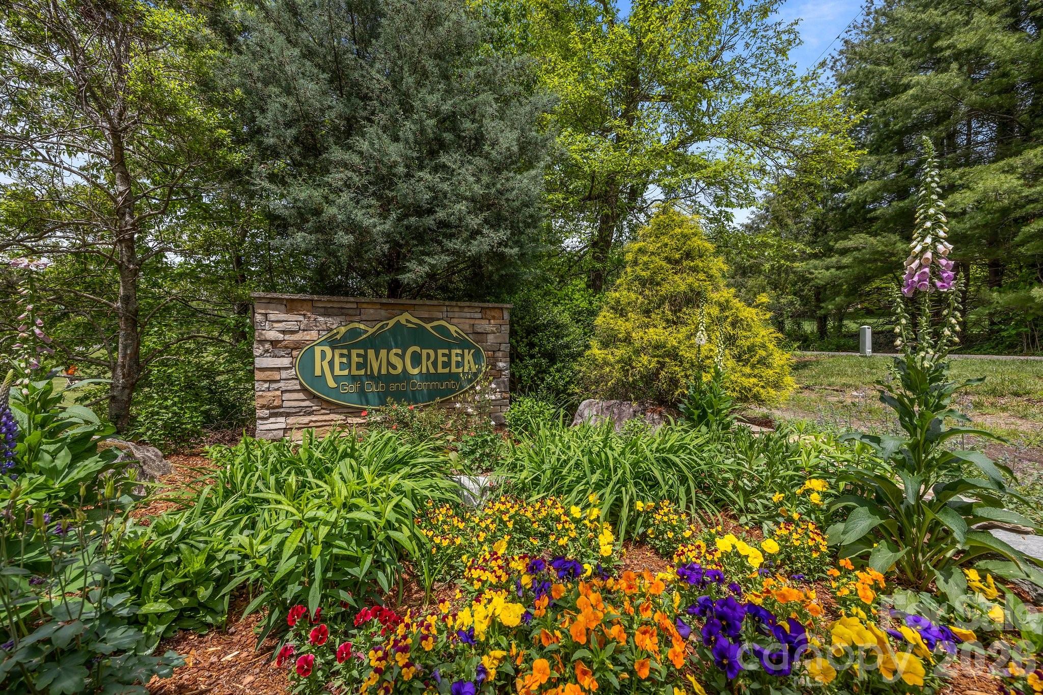 Reems Creek Golf Community - Land