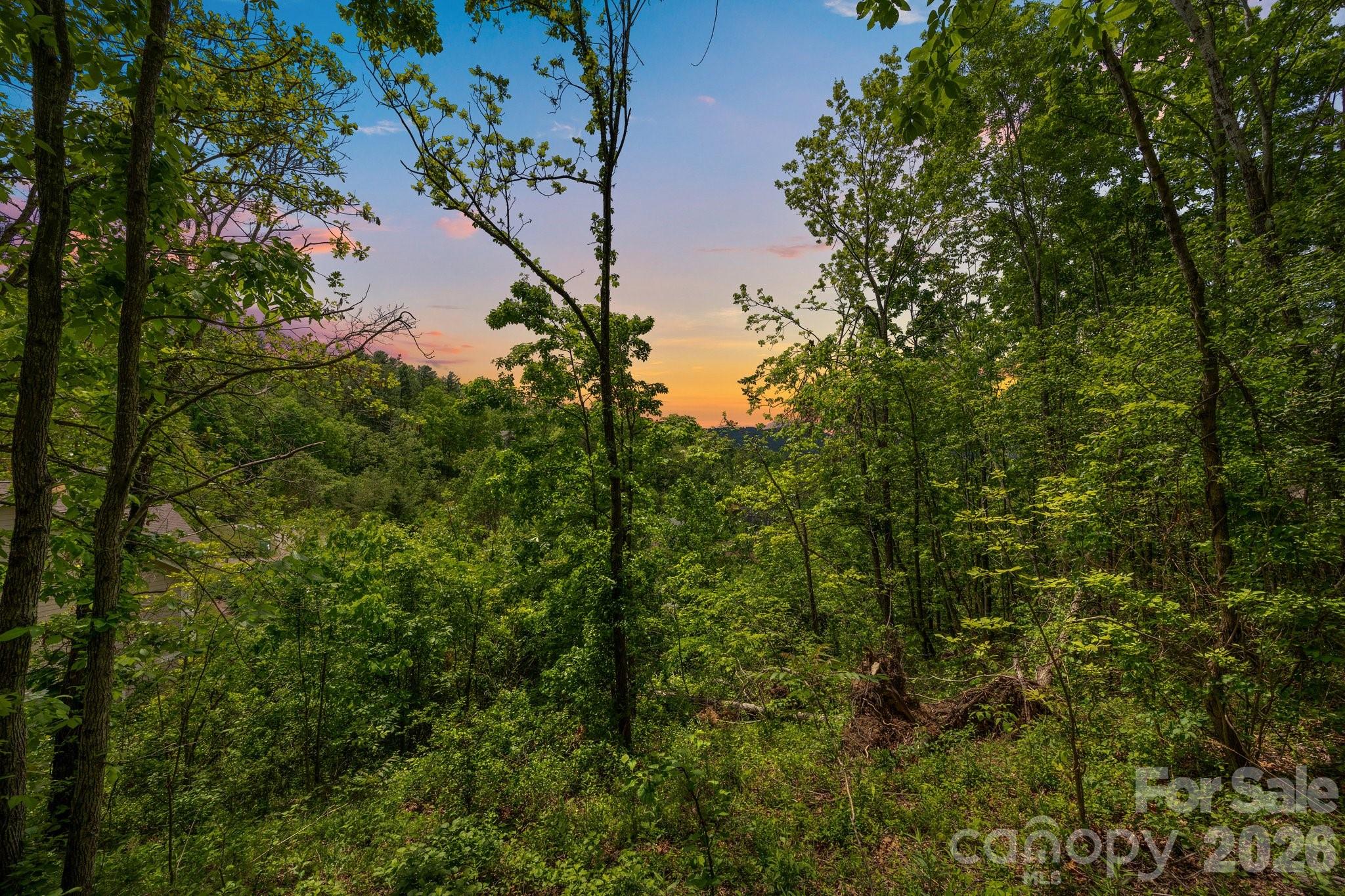 Reems Creek Golf Community - Land