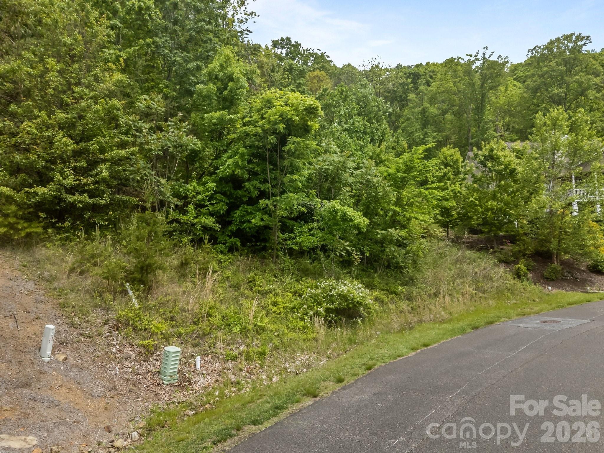 Reems Creek Golf Community - Land
