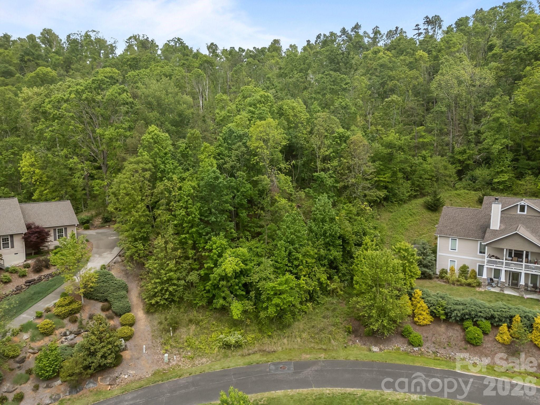 Reems Creek Golf Community - Land
