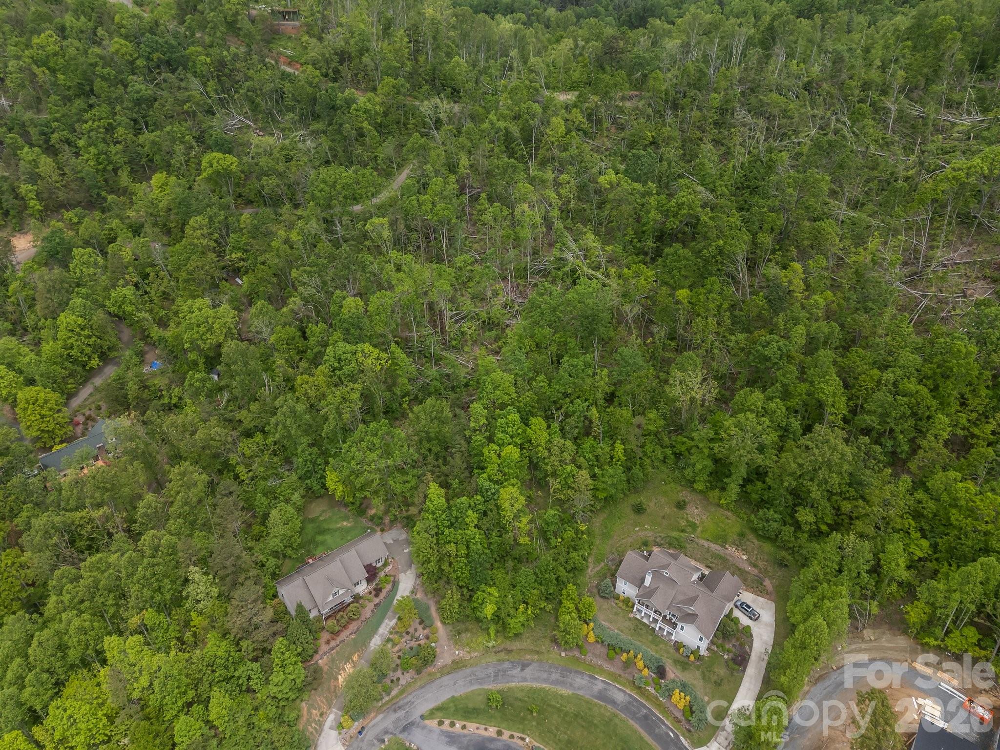 Reems Creek Golf Community - Land