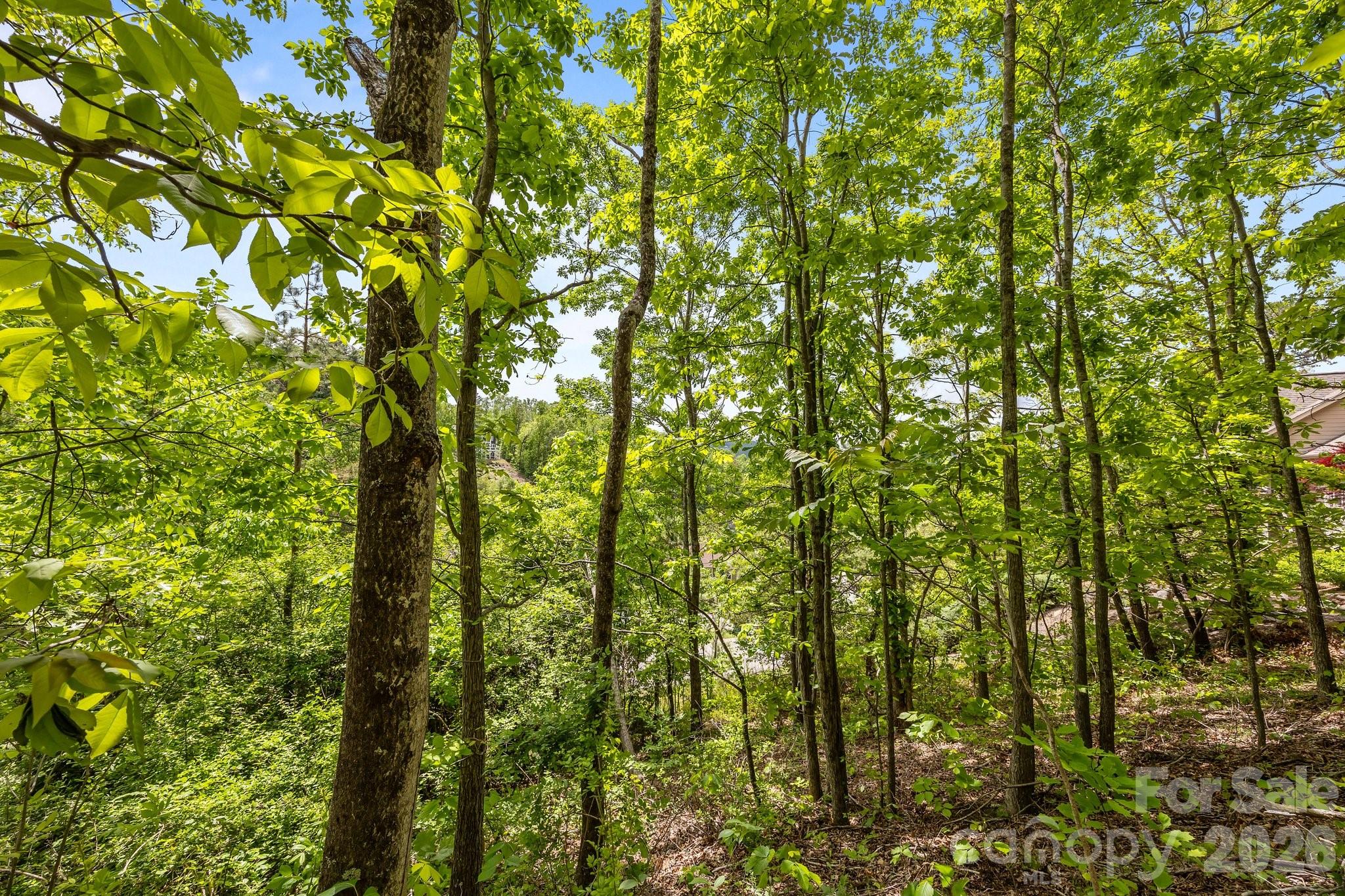 Reems Creek Golf Community - Land