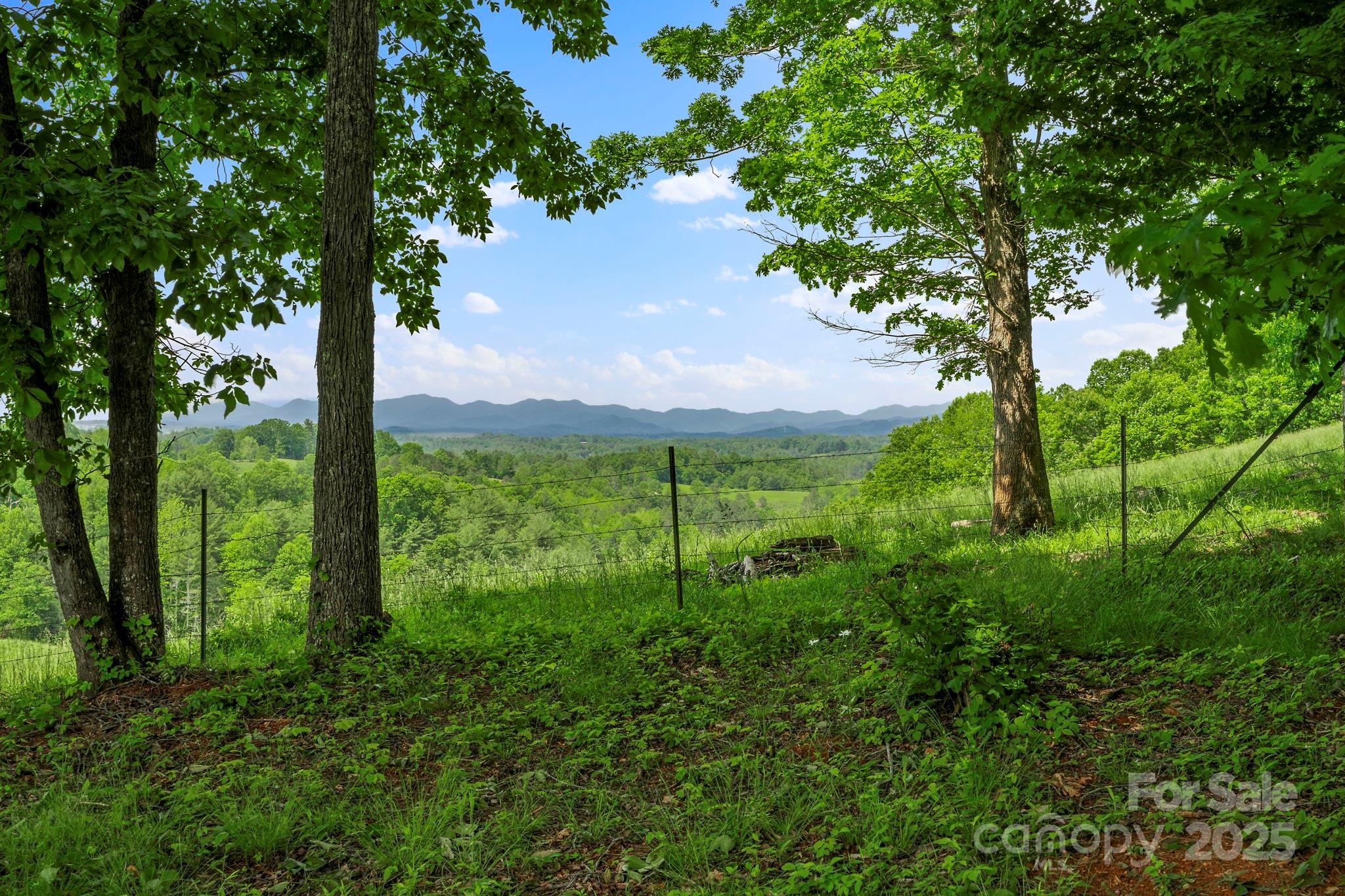 1586 Bull Creek Road
