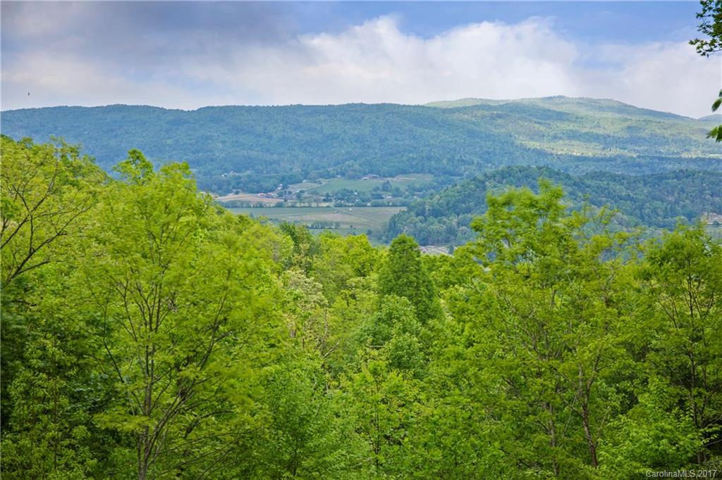 Pisgah Forest Farms - Residential