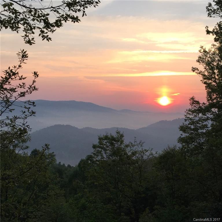 Pisgah Forest Farms - Residential