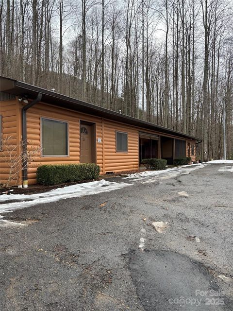 29 Plum Nearly Lane Maggie Valley NC 28751