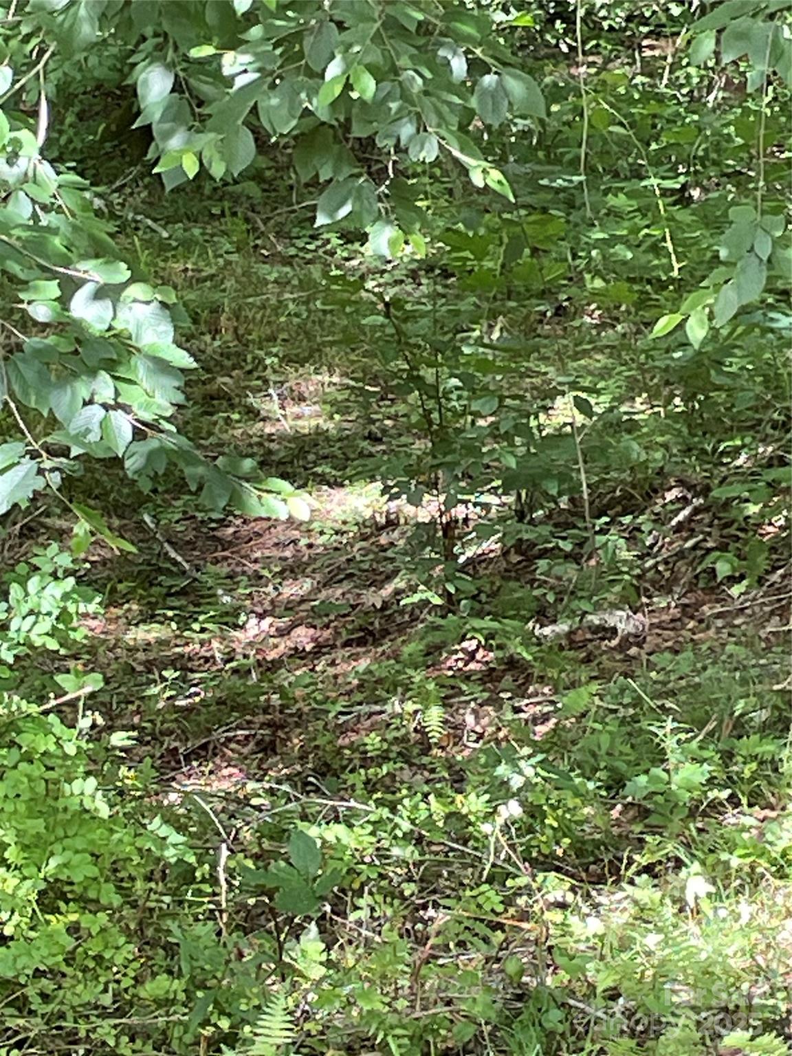 William Sutton Properties - Land