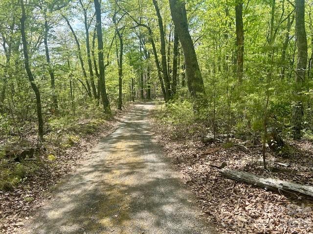 TBD Mountain View Circle