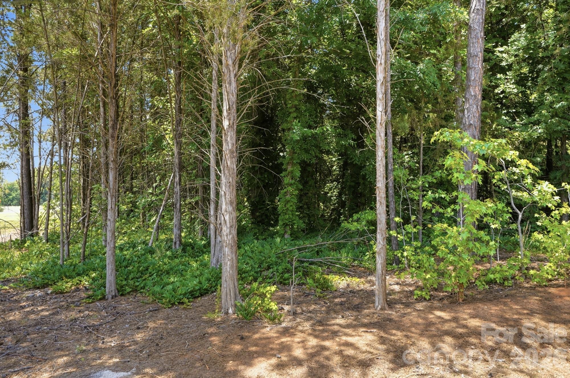 The Landings At Catawba River - Residential