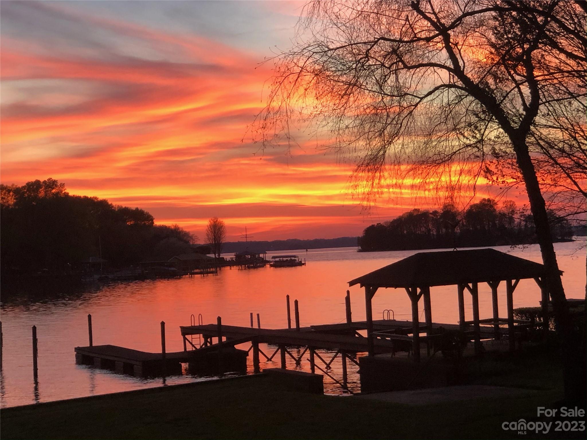 Island Forest - Residential