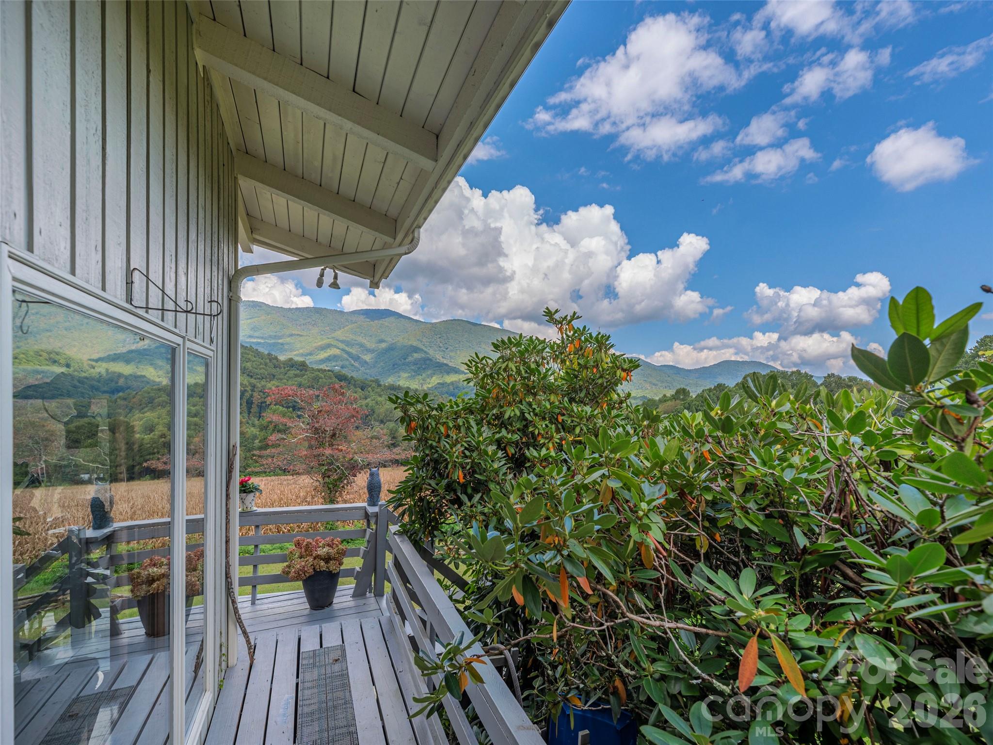 Balsam Meadows - Residential