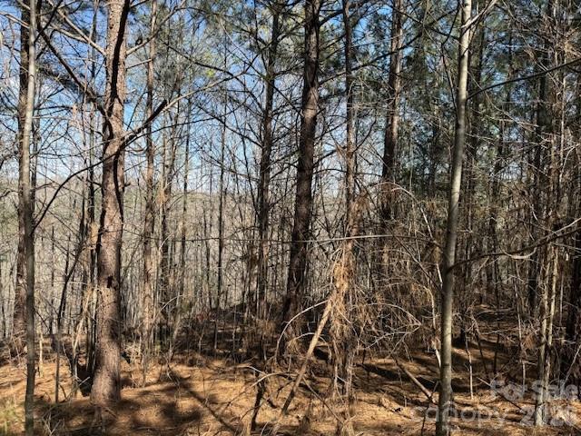 Pleasant View - Land