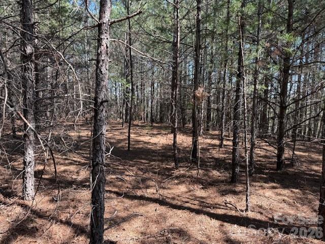 Pleasant View - Land