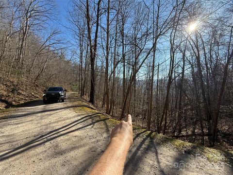 Lot 14 Bernies Trail 14 Waynesville NC 28785