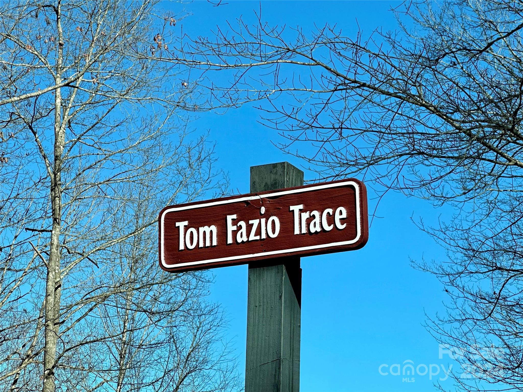 204 Tom Fazio Trace 322