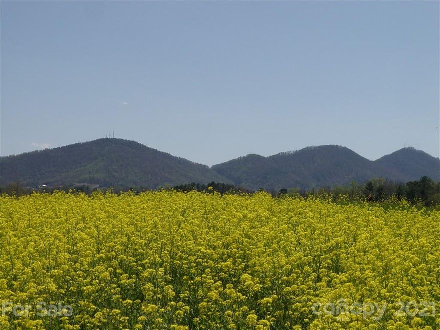 Heaven touches Earth on this special tract of land! Full 360 degree, awesome year around views! This rare find offers spectacular ridge top building sites. Only fifteen minutes to the heart of Asheville's shopping, dining and Health Care district! Established pastureland and hayfields make this acreage ideal for a Horse Farm, Boarding stable, a trail riding experience or just a very private family estate or retreat. The tract shelters a variety of wildlife including Deer and Wild Turkey and is bordered by two major streams.