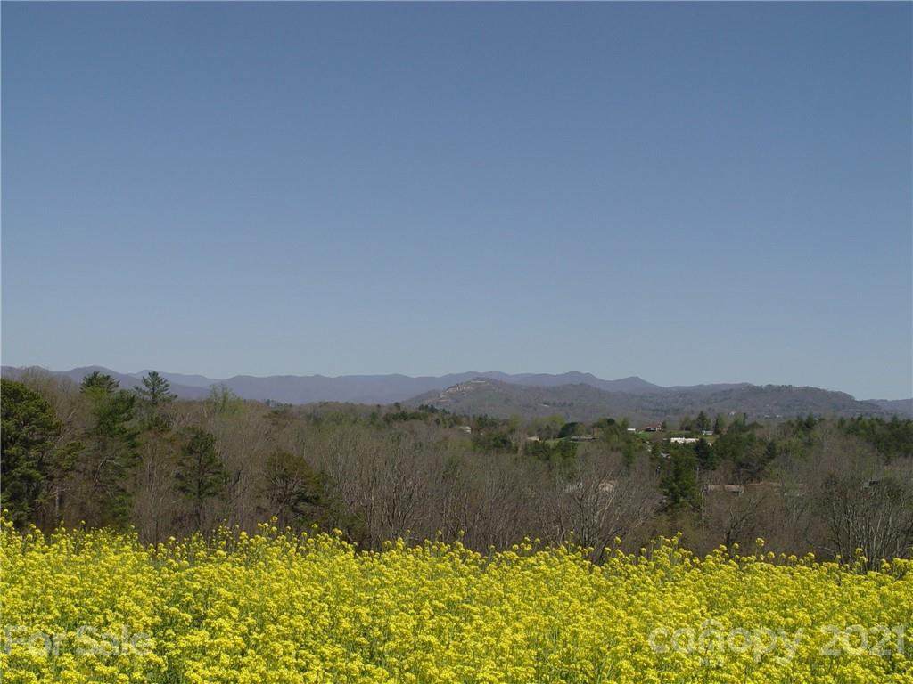 1293 Bear Creek Road