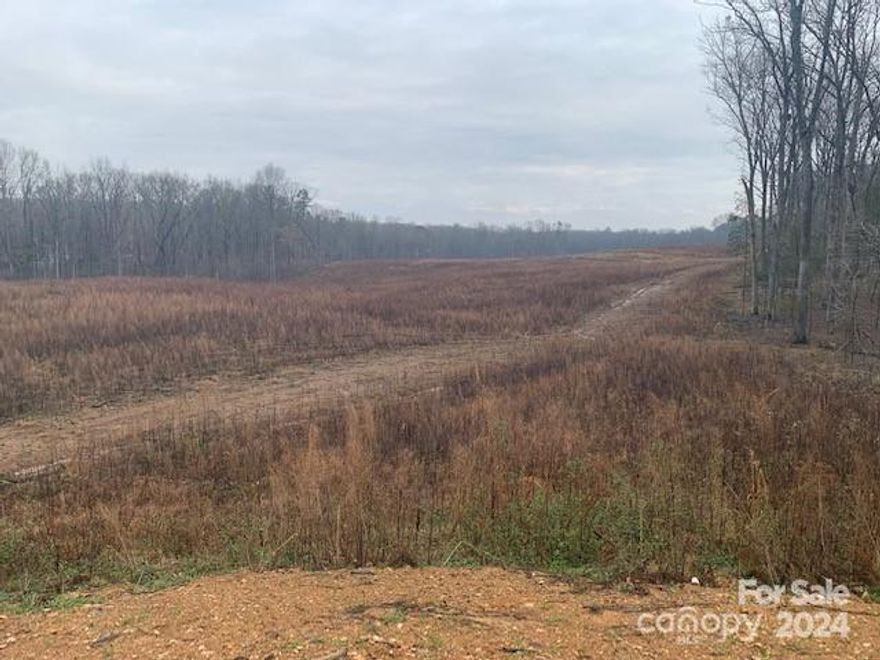 Great opportunity for a SF development or investment property. Sewer is on the back of the property and water is on the front. Please contact Mecklenburg county for Sewer and Water availability.