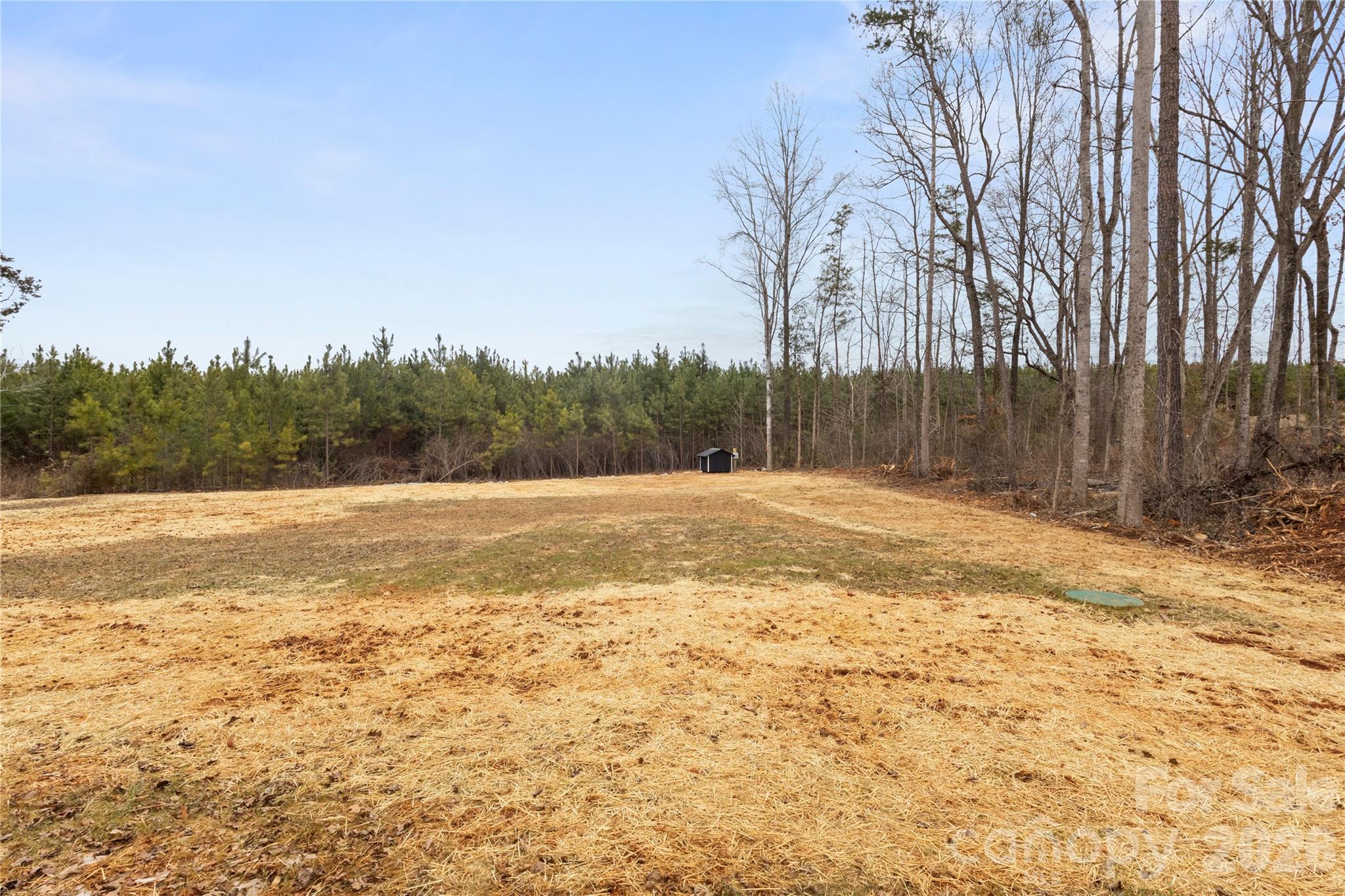 Forestview Estates - Residential