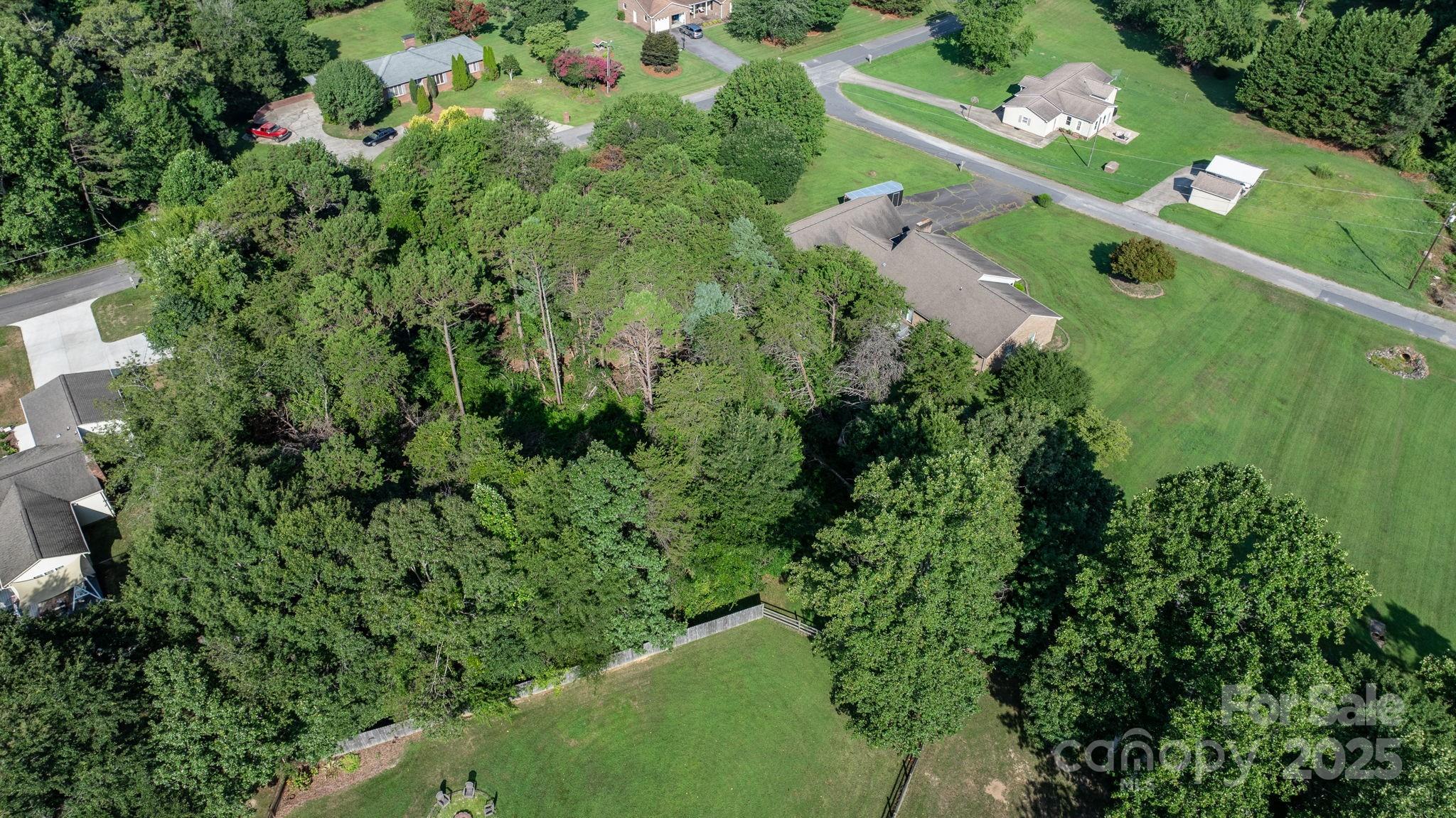 Catawba Forest - Land