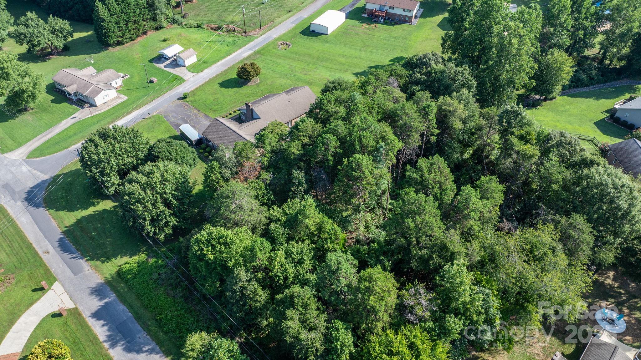 Catawba Forest - Land