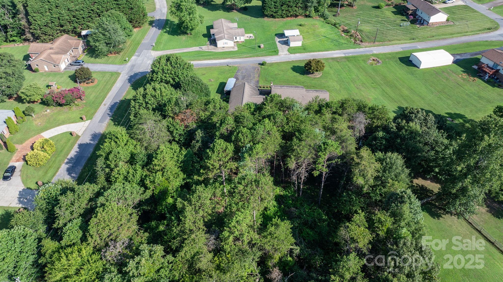 Catawba Forest - Land