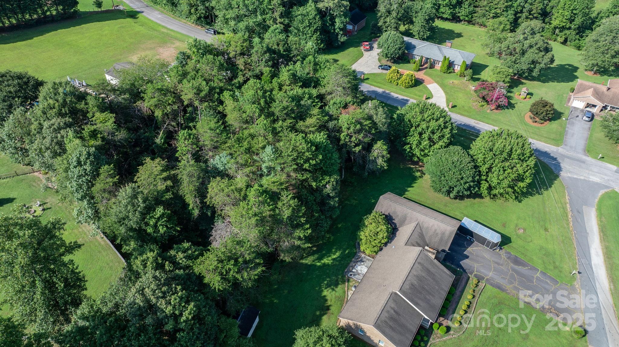 Catawba Forest - Land