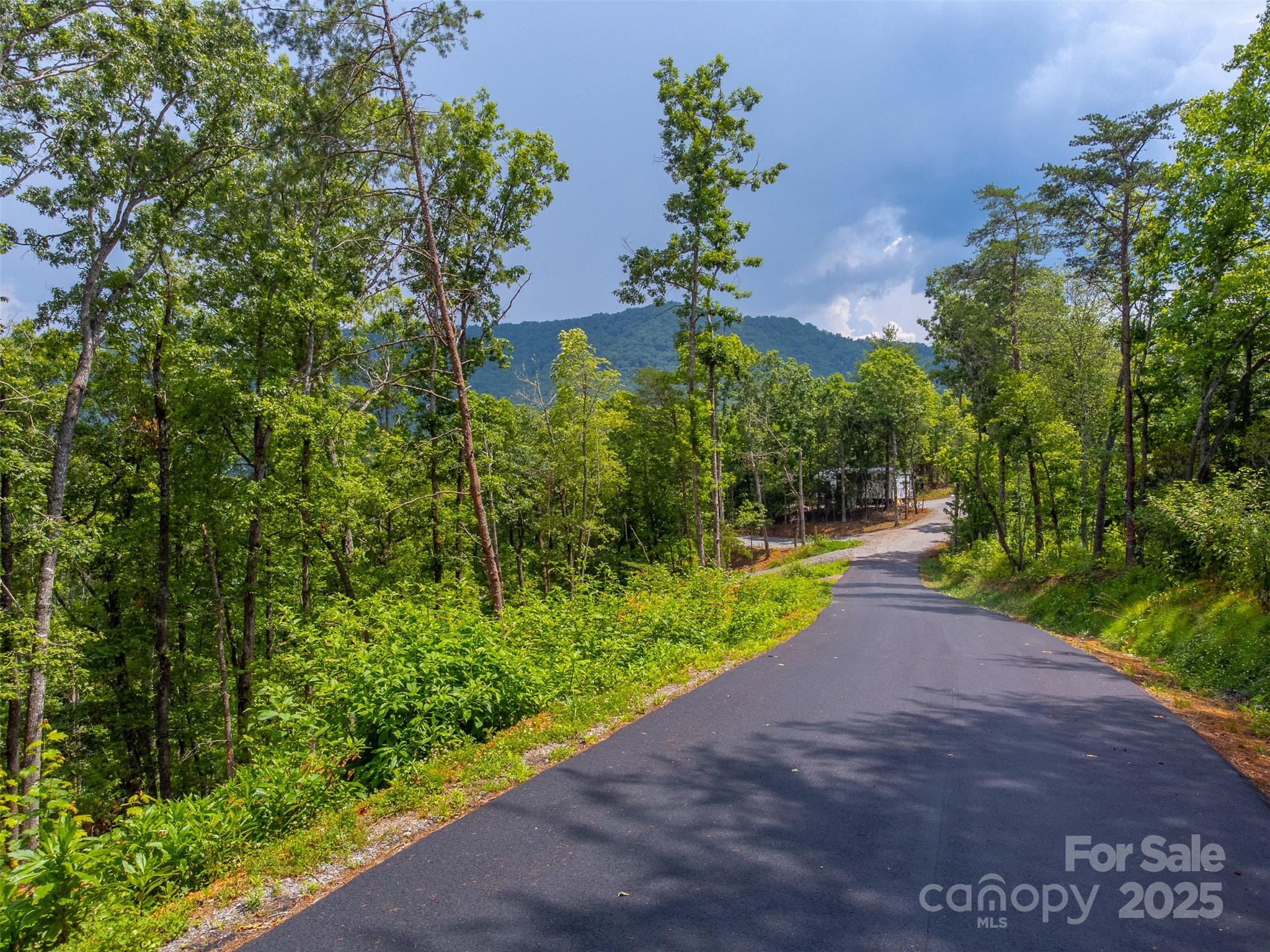 Tiny Mountain Estates - Land
