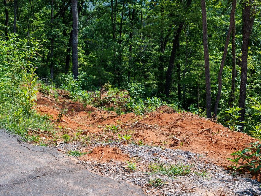 Tiny Mountain Estates offers a blend of modern convenience and Mountain beauty, an ideal community for anyone looking to simplify, downsize, or smart investment. Here, you own your land (no lot-rent uncertainty). Each tract is served by underground power, community water, and a septic system, helping you avoid many of the upfront costs and unknowns that come with raw land. Designed with tiny homes in mind, Tiny Mountain Estates welcomes both stick-built and modular homes under 1,000 sq ft, giving buyers flexibility in design while maintaining a cohesive, value-protective neighborhood feel. Choose an elevated parcel with sweeping year-round ridge views or a wooded setting framed by rhododendron and mature hardwoods. The HOA keeps fees low while protecting property values with sensible covenants that still allow gardens, personal touches, and short-term rentals. Life here is rooted in the outdoors: morning walks along private lanes, spur-of-the-moment kayak runs on the nearby Little Tennessee River, and quick drives to Franklin’s cafés, breweries, and live music venues. Whether you plan to build a full-time retreat, claim a weekend basecamp, in one compelling package.