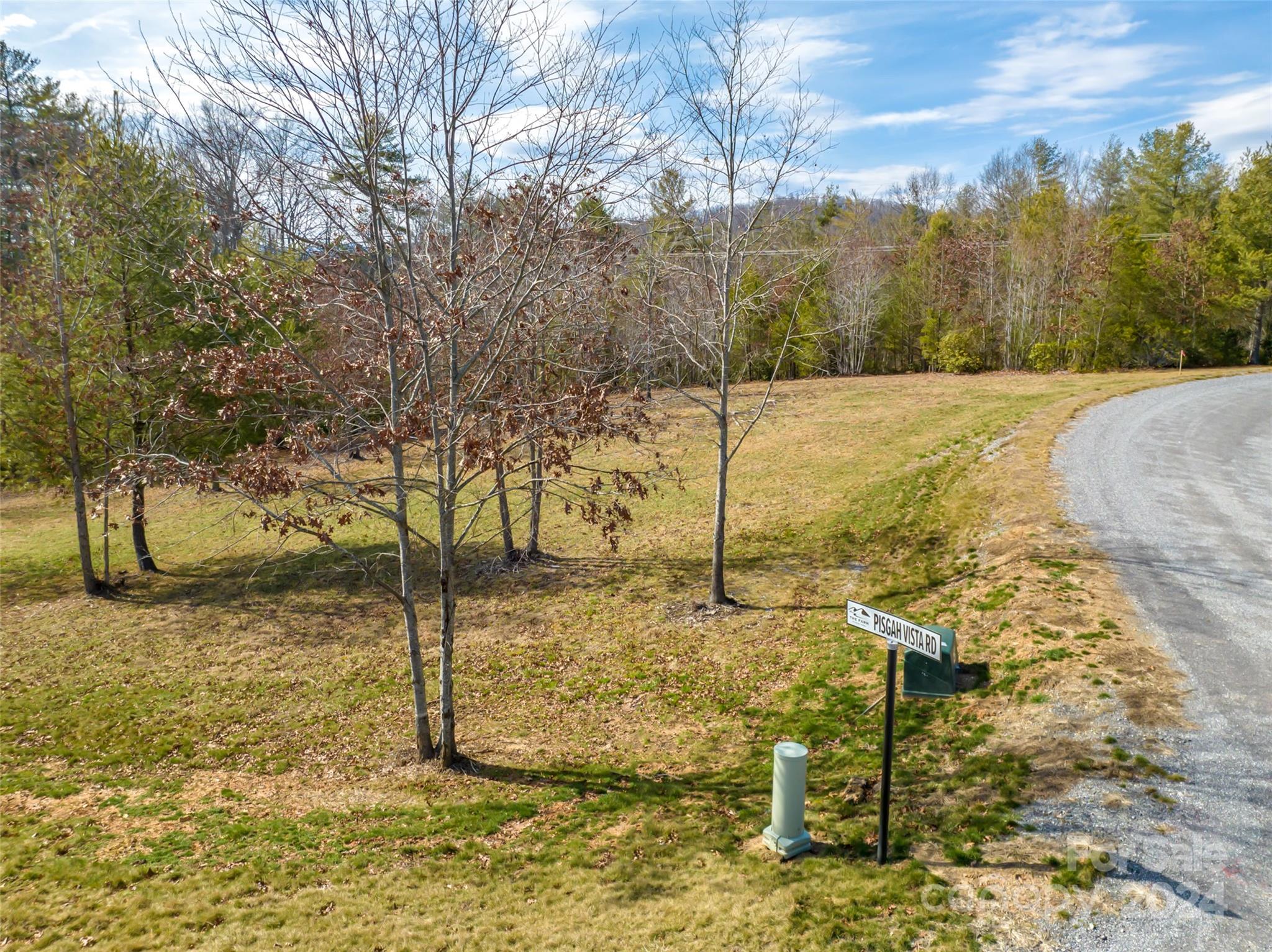 405 Pisgah Vista Road 34