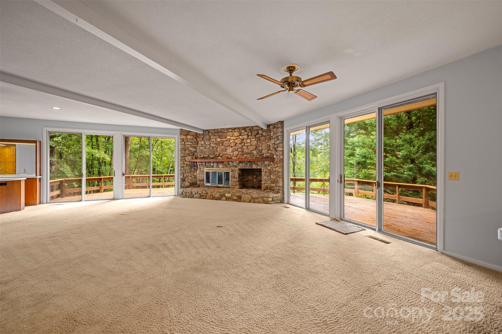 Red Fox - Residential