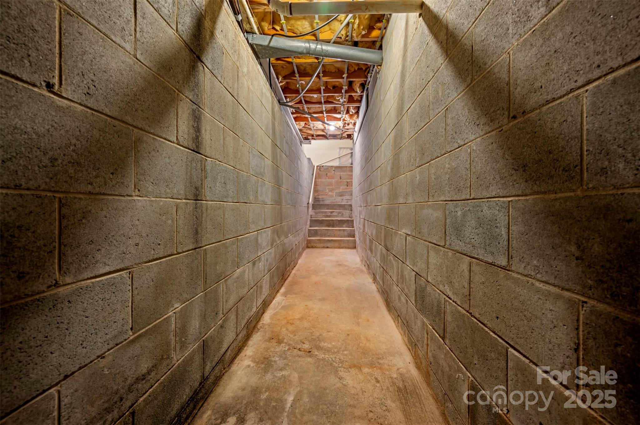 Red Fox - Residential