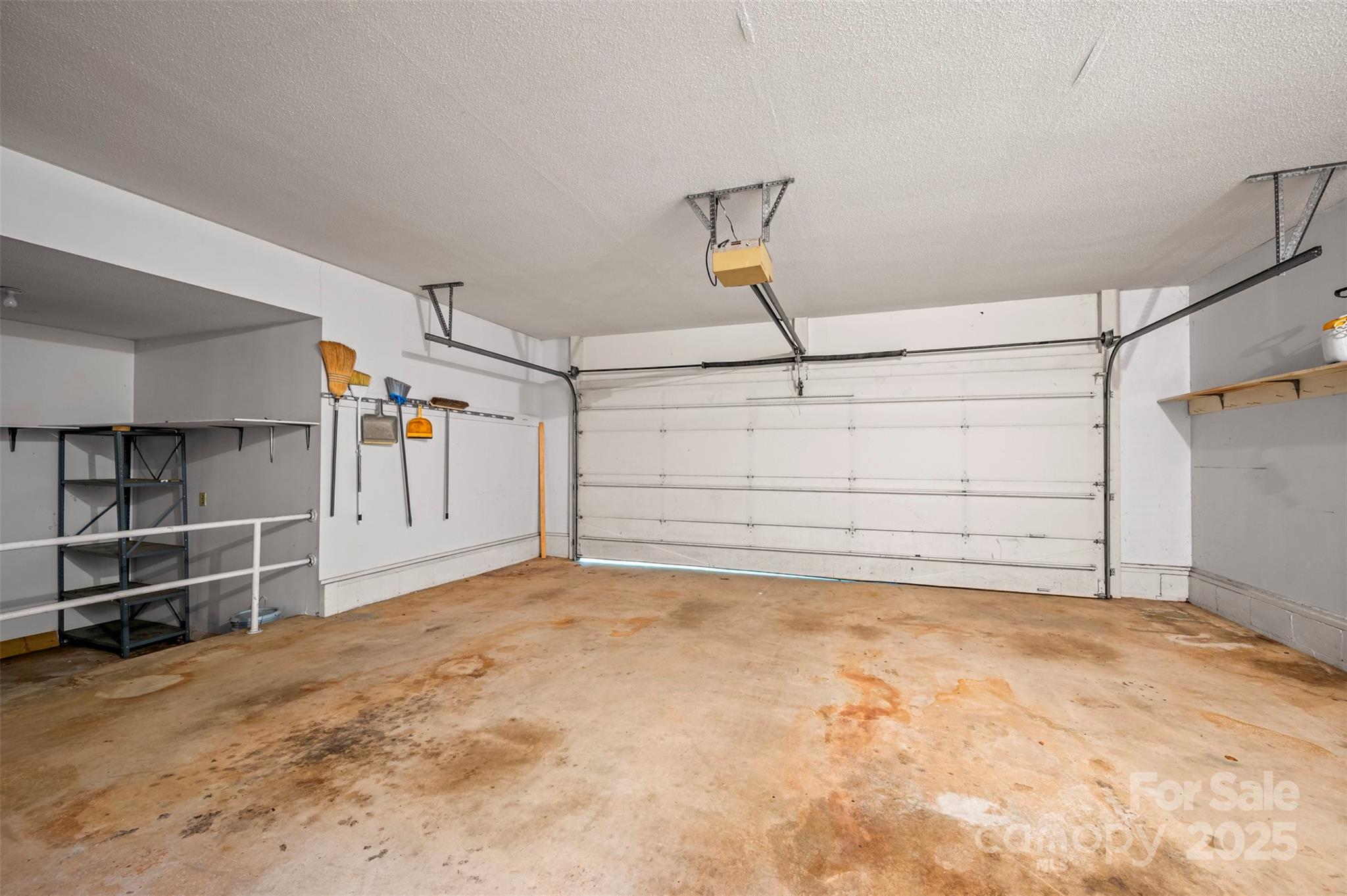 Red Fox - Residential