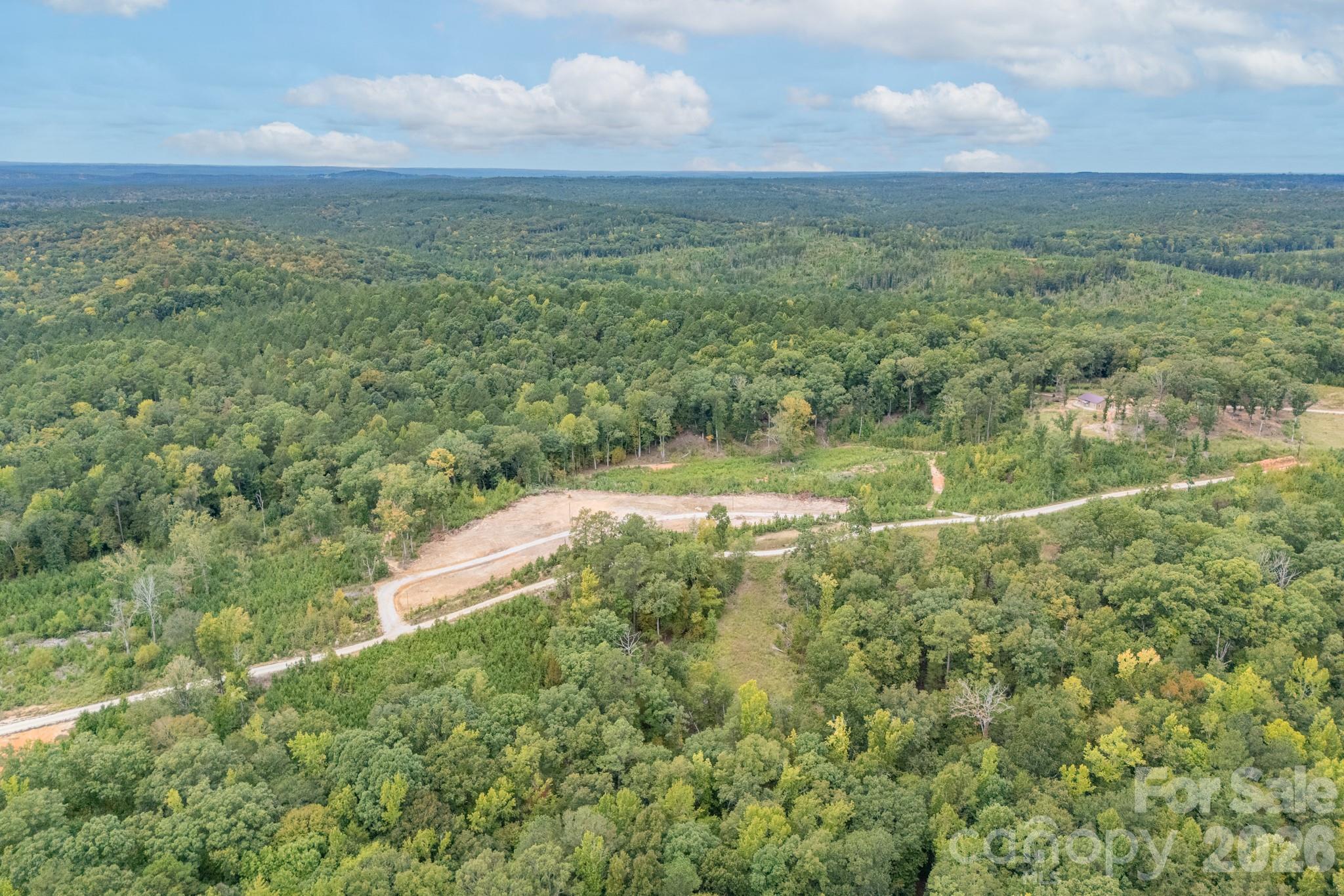 1513 Debutary Road