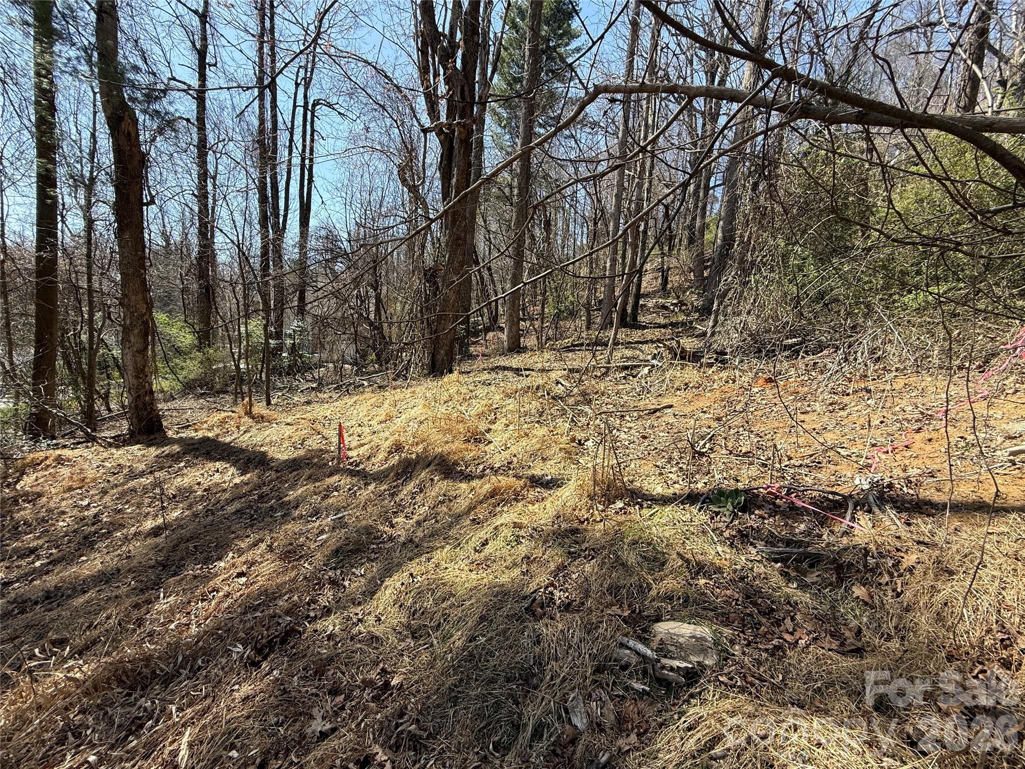 Wildwood Heights - Land