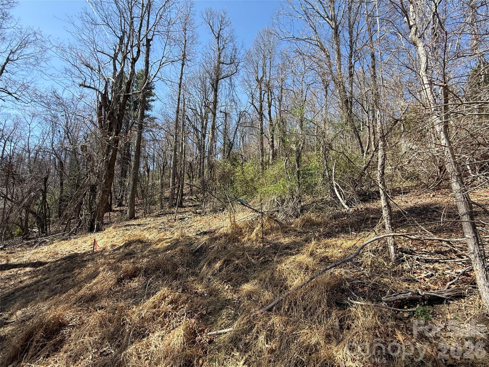 Wildwood Heights - Land