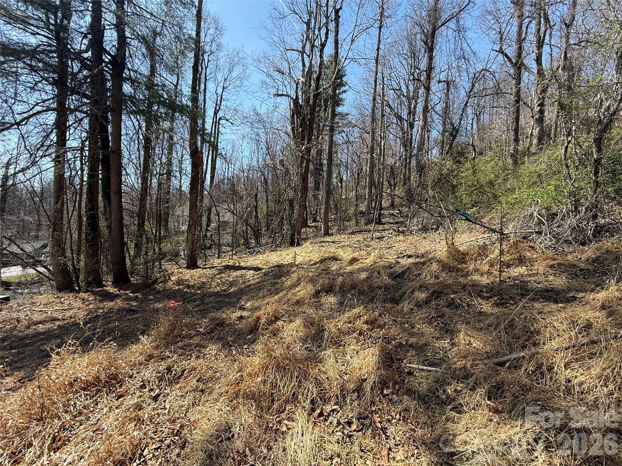 Wildwood Heights - Land