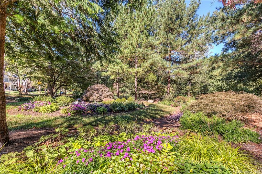 Dilworth - Residential