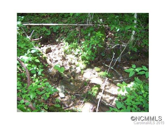 Villages Of Plott Creek - Land