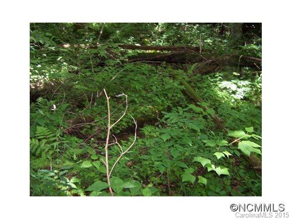 Villages Of Plott Creek - Land